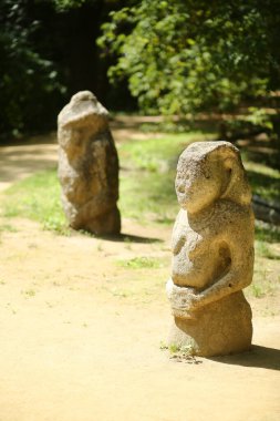 Askania Nova, Ukrayna - 4 Ağustos 2020: Kurgan stelae veya Scythian baba, geleneksel el yapımı antik taş heykeller