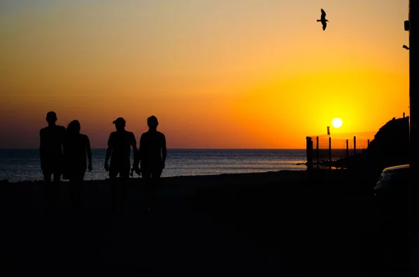 Grupo de jóvenes felices en la playa en la hermosa puesta de sol de verano Fotos de stock libres de derechos