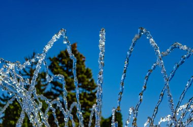 Ağaçların arka plan üzerinde Çeşme jetleri