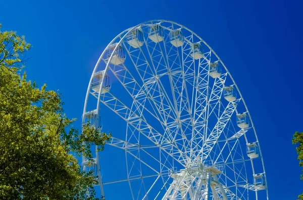 Ferris wheel whith pines on clear blue sky background. — Stock Photo, Image