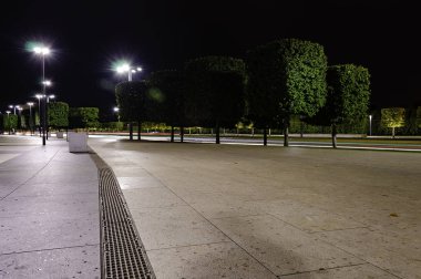 Ağaçlar yol yanında gece kare şeklinde aydınlatılmış. Krasnodar Parkı.