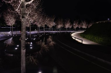 Parktaki ağaçlar geceleri aydınlatılır. Krasnodar Parkı.