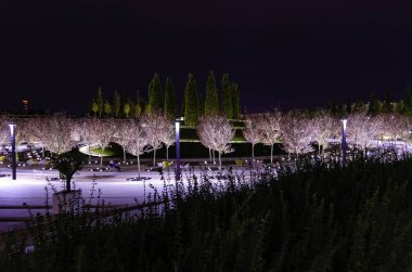 Parktaki ağaçlar geceleri aydınlatılır. Krasnodar Parkı.