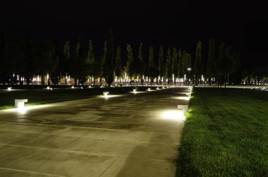 Parktaki ağaçlar geceleri aydınlatılır. Krasnodar Parkı.