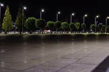 Ağaçlar yol yanında gece kare şeklinde aydınlatılmış. Krasnodar Parkı.