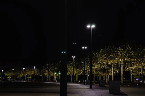 De bomen in het park zijn 's nachts verlicht. Park in Krasnodar. — Stockfoto