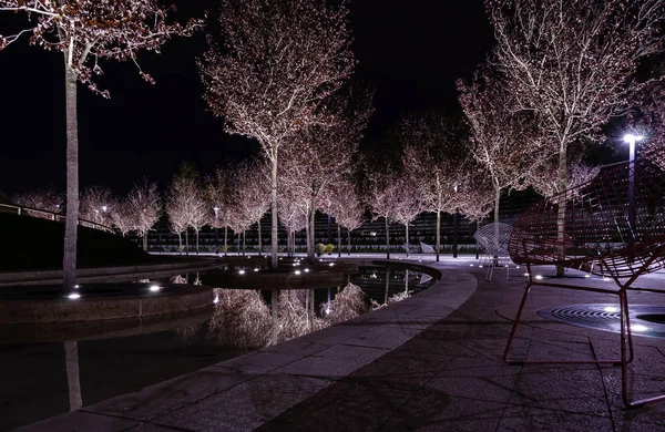 As árvores do Parque são iluminadas à noite. Parque em Krasnodar . — Fotografia de Stock