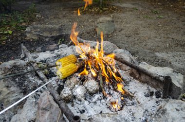 Ateşte kızaran iki mısır kulağı. Ateşin sıcak kömürlerinde hazırlanmış folyoya sarılmış patatesler..