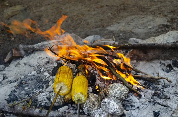 Dvě uši kukuřice pečené na ohni. Plátno zabalené brambory, které se připravuje v žhavém uhlí ohně. Stock Obrázky