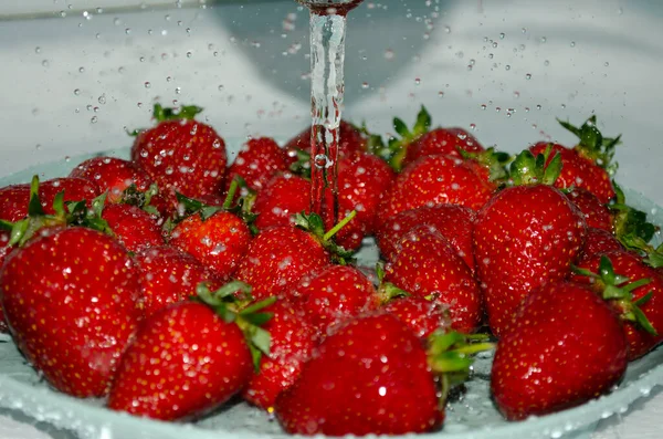 Fresas Maduras Bajo Chorro Agua Lavada Cubierta Con Gotas Agua —  Fotos de Stock