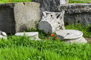 Pompei ruins: poppies sit alanı, çim üzerinde Antik sütunların kalır. Pompeii şehir yanardağ Vesuvius, İtalya patlama tarafından yok edildi