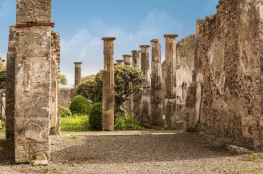 Pompei ruins: ağaç ve sütunları bir bahçede. Yanardağ Vesuvius, İtalya patlama tarafından tahrip antik Pompei kenti kalıntıları