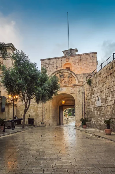 Mdina, Malta: pitoresk Mdina kapısı toplar ve ağaç — Stok fotoğraf