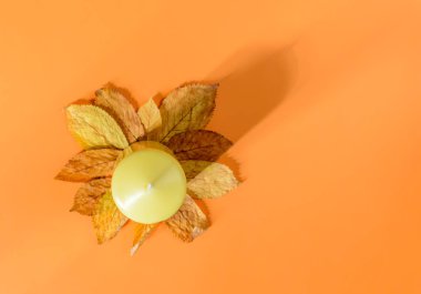 Autumn composition with decorative yellow candle on dry autumn leaves with long shadow