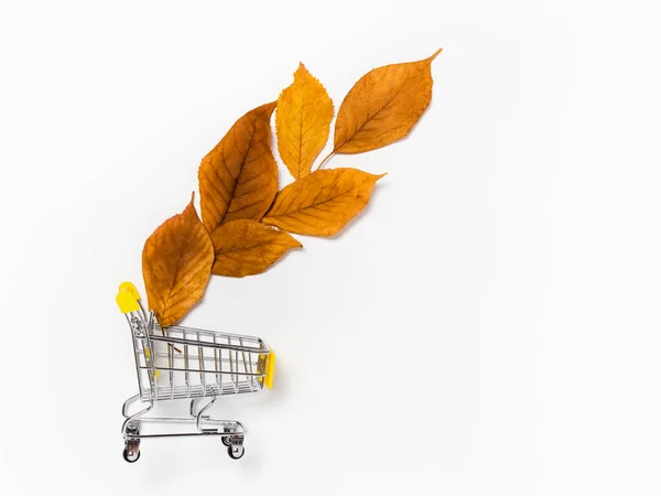 Koncept podzimního prodeje: nákupní košík se žlutými podzimními listy na bílém pozadí — Stock fotografie
