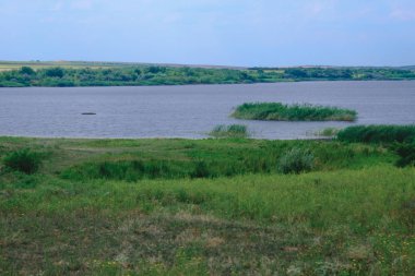 Dağları, ormanı ve önünde bir nehri olan bir manzara.