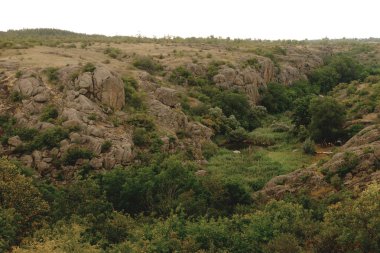 Yaz manzara, kaya ve su