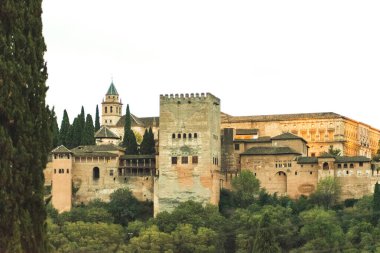 Granada 'daki Alhambra manzarası. Arka planda Sierra Nevada olan Alhambra 'nın manzarası.