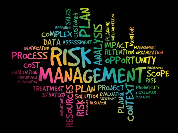 Risk Management Word Cloud Collage Business Concept Background — Stock Vector