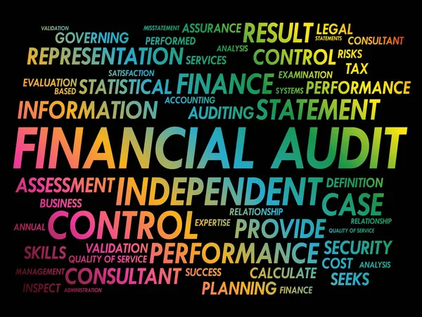 Audit Financier Mot Cloud Collage Contexte Concept Entreprise — Image vectorielle