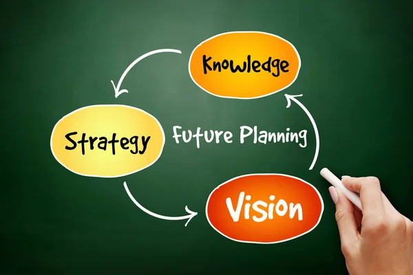 Future planning (knowledge, strategy, vision)