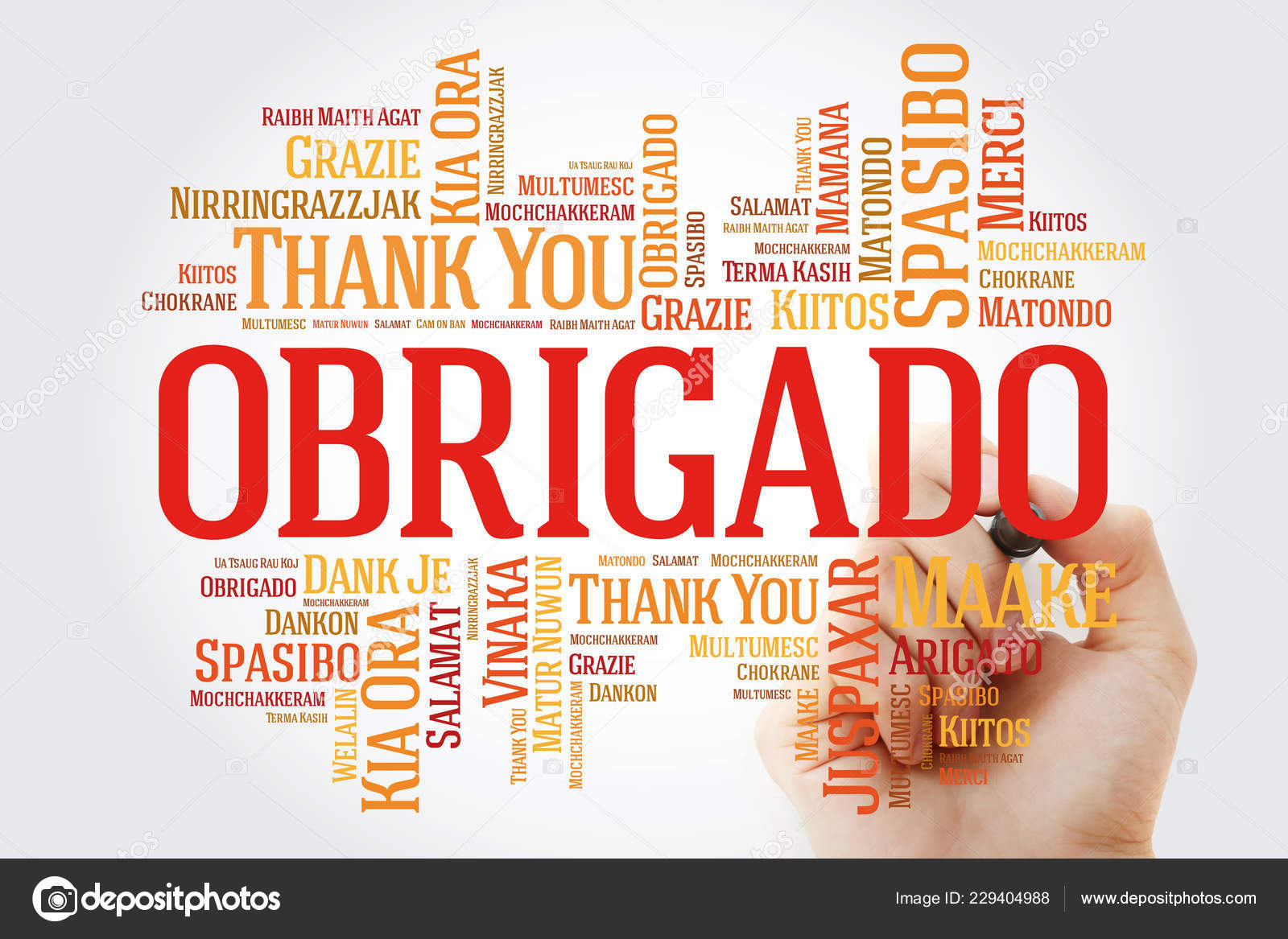Obrigado Thank You Portuguese Word Cloud Marker All Languages Stock Photo By C Dizanna 229404988