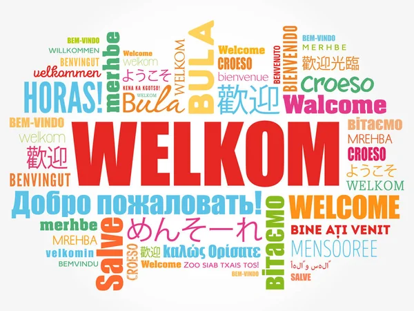 Welkom Welcome Afrikaans Word Cloud Different Languages Conceptual Background — Stock Vector