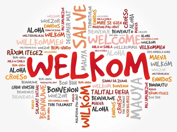 Welkom Welcome Afrikaans Nuvem Palavras Diferentes Idiomas Fundo Conceitual —  Vetores de Stock