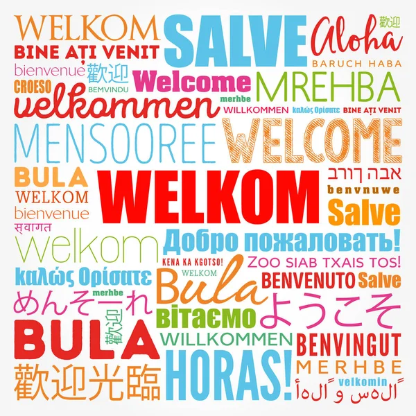 Welkom Welcome Afrikaans Nuvem Palavras Diferentes Idiomas Fundo Conceitual —  Vetores de Stock