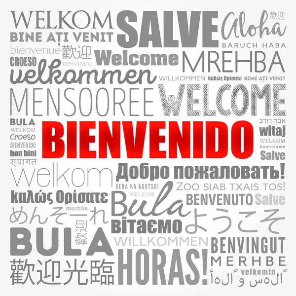 Bienvenido Welcome Spanish Word Cloud Different Languages Conceptual Background — стоковый вектор