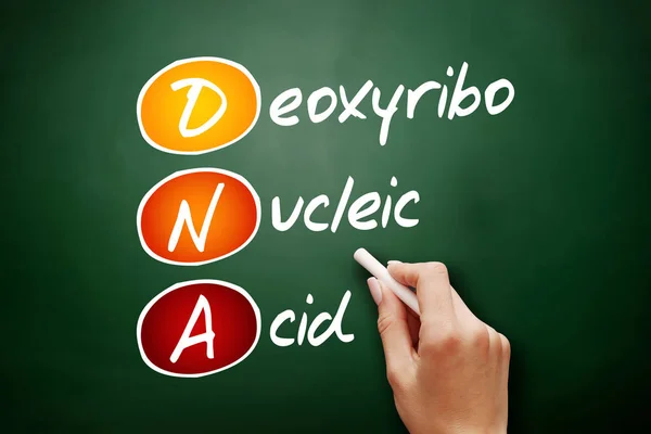 DNA - Deoxyribonucleic Acid, acronym on blackboard