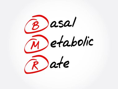 BMR - Temel Metabolik Oran kısaltması, kavram geçmişi