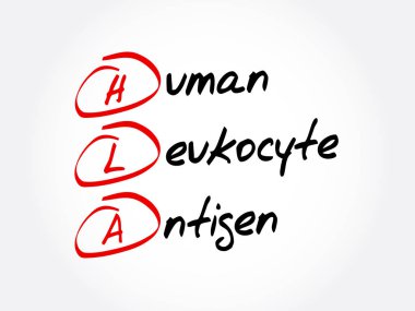 HLA - insan lökosit antijen kısaltma