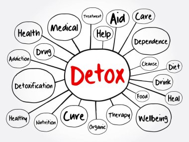 DETOX zihin haritası akış şeması, sunum ve raporlar için sağlık konsepti