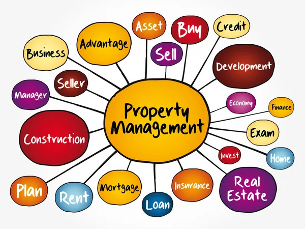 Myšlenkový Diagram Správy Nemovitostí Obchodní Koncepce Prezentací Sestav — Stockový vektor