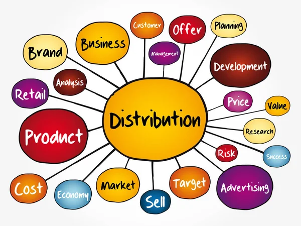 Organigramme Distribution Concept Entreprise Pour Les Présentations Les Rapports — Image vectorielle