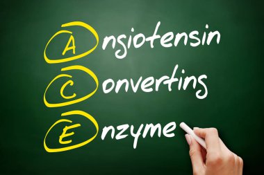 ACE - Angiotensin Enzim kısaltması, karatahta konsepti