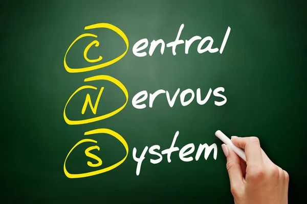 Cns Central Nervsystemet Akronym Begrepp Svarta Tavlan — Stockfoto