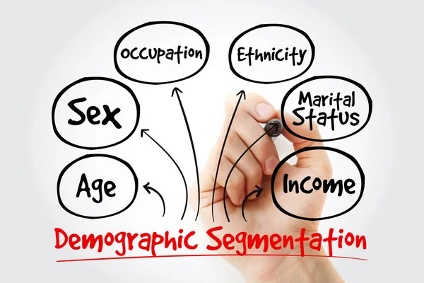 Ручное Написание Маркером Демографическая Сегментация Ментальная Карта Flowchart Социальной Бизнес — стоковое фото