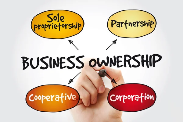 Business ownership mind map with marker, concept background