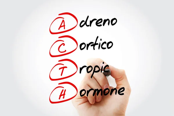 ACTH - Adrenocorticotropic hormone acronym with marker, concept background