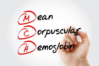 MCH - İşaretli, kavram arkaplanlı ortalama Corpuscular Hemoglobin kısaltması