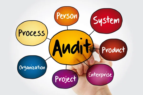 Area Valutazione Audit Mind Map Diagramma Flusso Con Marker Business — Foto Stock