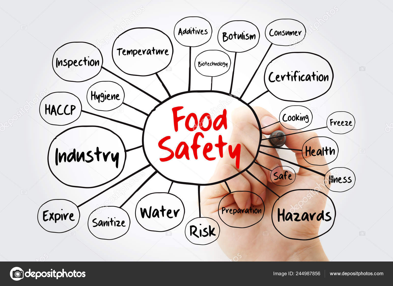 Food Safety Mind Map Flowchart Marker Concept Presentations Reports food-safety-mind-map-flowchart-marker-concept-presentations-reports