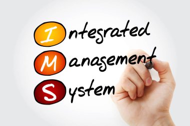 IMS - İşaretleyicili Entegre Yönetim Sistemi kısaltması, iş konsepti geçmişi