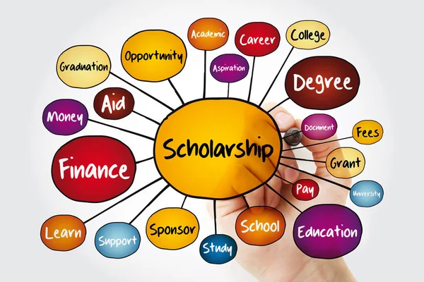 Scholarship Mind Map Flowchart Marker Education Concept Presentations Reports — Stock Photo, Image