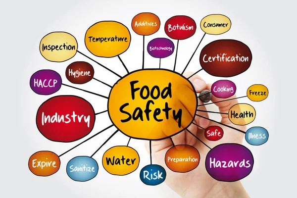 Potravin Bezpečnosti Mysli Mapu Vývojový Diagram Marker Koncept Pro Prezentace — Stock fotografie