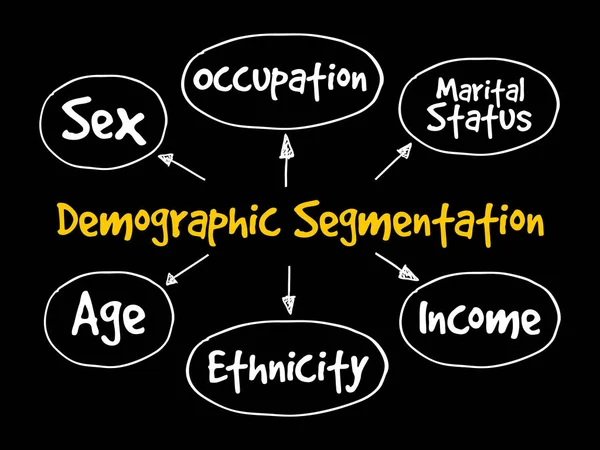 人口统计学来细分思维导图 — 图库矢量图片
