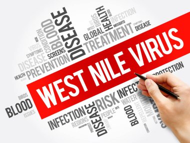 Batı Nil virüsü kelime bulutu kolaj