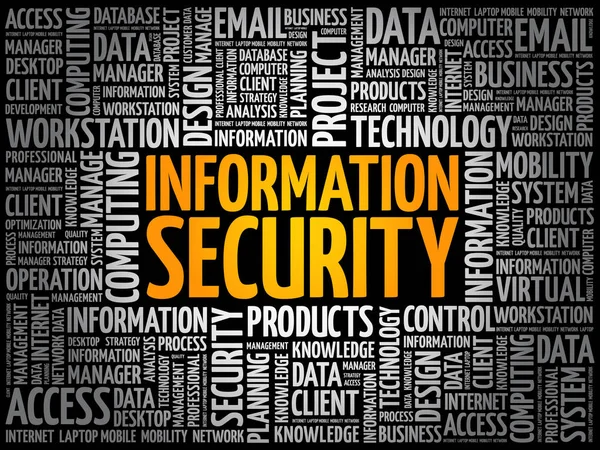 Seguridad de la información Word Cloud — Vector de stock